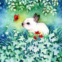 Red Butterfly, 2012   Watercolor