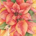 Poinsettias & Whiskers, 2017   Watercolor