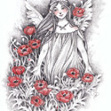 Red Poppies, 2017  Pencil & Color Pencil