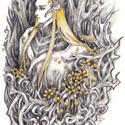 Yellow Anemone, 2017   Pencil & Color Pencil