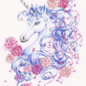 Ribbons and Roses, 2010   Color Pencil