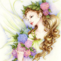 Hydrangea Fae, 2010    Color Pencil