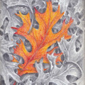 Autumn Leaves, 2020, Pencil & Color Pencil